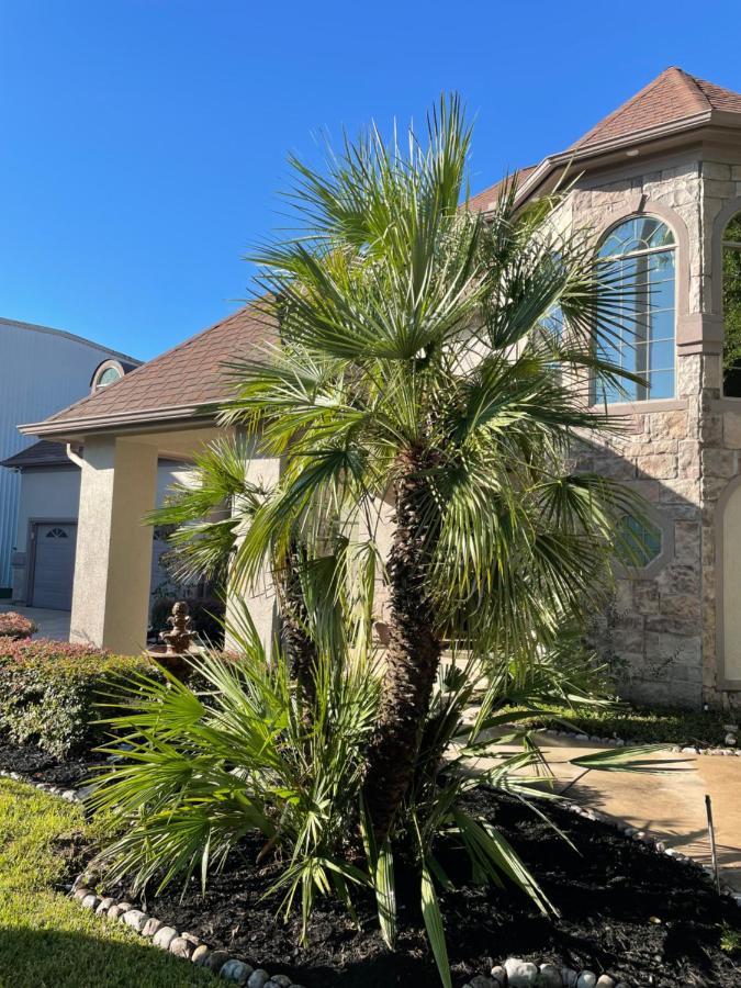 Luxuria Mini-Mansion Near Houston Downtownヴィラ エクステリア 写真